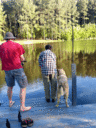 is_it_a_fish_or_a_boot_20130525_185109-animation.gif